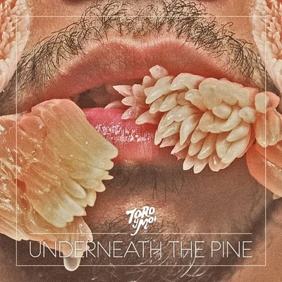 Underneath The Pine 專輯 Toro y Moi/Rome Fortune