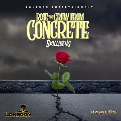 SkillibengSleepy Hallow Rose That Grew from Concrete