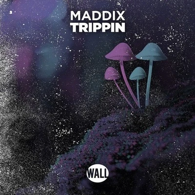 Trippin 專輯 Maddix