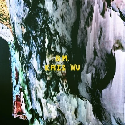 B.M. 专辑 吴亦凡 (Kris Wu)