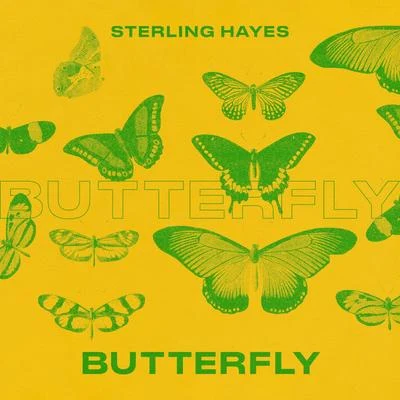 Butterfly (feat. Space Buddha) 專輯 Très Mortimer/Sterling Hayes