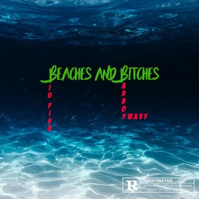 Beaches And *****es 專輯 Big Fish