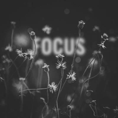 Focus 專輯 ZooFunktion/Deorro/Hunter Siegel