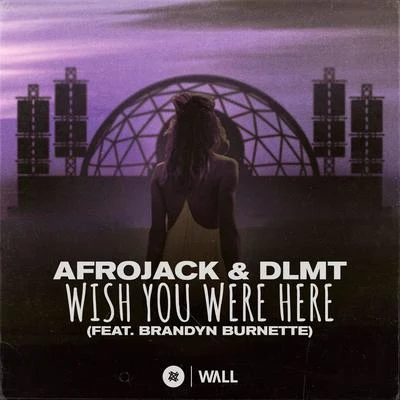 Wish You Were Here (feat. Brandyn Burnette) 專輯 Afrojack