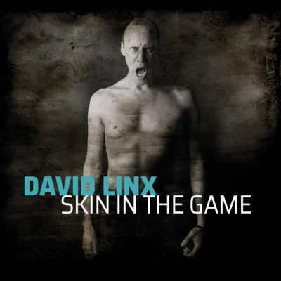 Skin in the Game 專輯 Alain Chamfort/David Linx