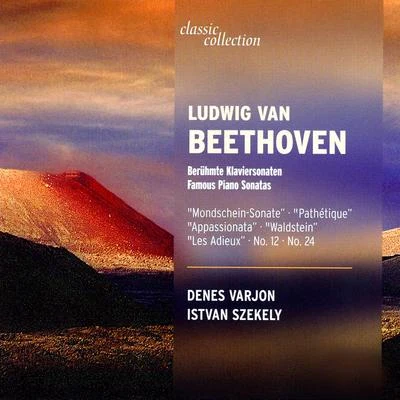 Beethoven: Famous Piano Sonatas 专辑 Péter Nagy/Balazs Szokolay/Irina Zaritzkaya/Istvan Szekely