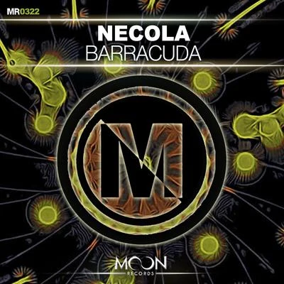 Barracuda 專輯 Necola