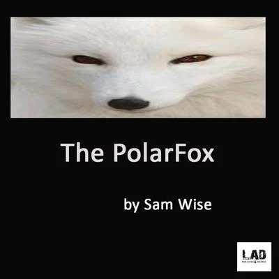 The PolarFox 專輯 Sam Wise