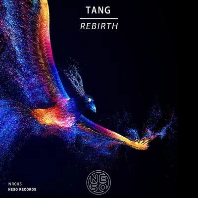 REBIRTH 專輯 TANG唐