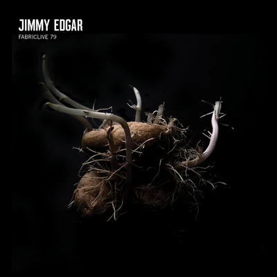 FABRICLIVE 79: Jimmy Edgar 专辑 Jimmy Edgar