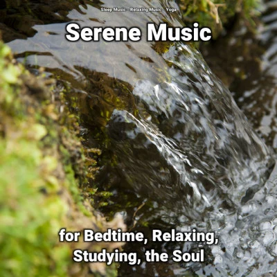 Serene Music for Bedtime, Relaxing, Studying, the Soul 專輯 Study Music Universe/Relaxing Music/Calming Music Ensemble