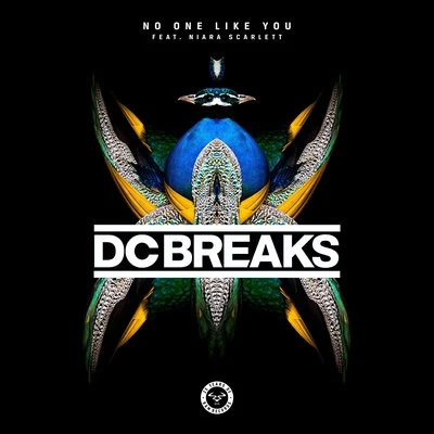 No One Like You (feat. Niara Scarlett) 專輯 Belle Humble/DC Breaks