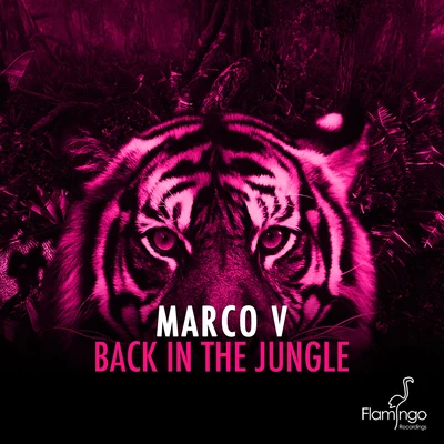 Back In The Jungle 專輯 Marco V/Jewelz & Sparks/Fedde Le Grand