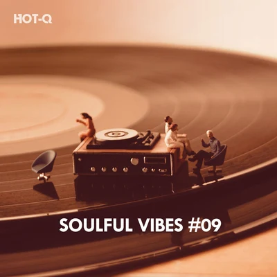 Hot-Q Soulful Vibes, Vol. 09