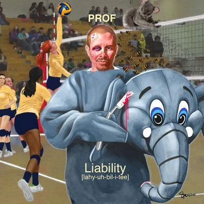 Prof Liability