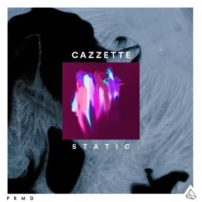 Static 專輯 CAZZETTE/Nadia Gattas