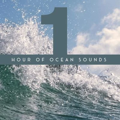 1 Hour of Ocean Sounds - Collection of Majestic Wave Sounds, Perfect New Age Background for Meditation, Relaxation, Sleep and Study 專輯 Total Relax Zone/Echoes Of Nature