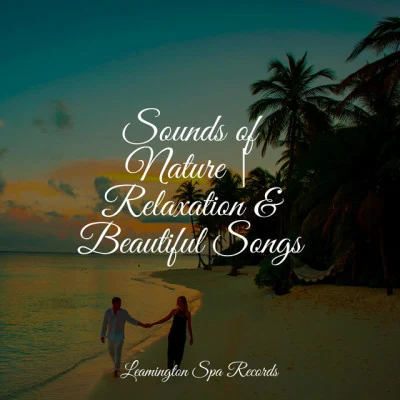 sounds of nature | relaxation beautiful songs 專輯 Masters of Binaurality/The Sleep Principle/ASMR Sleep Sounds