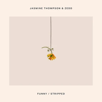 Funny (Stripped) 專輯 Zedd