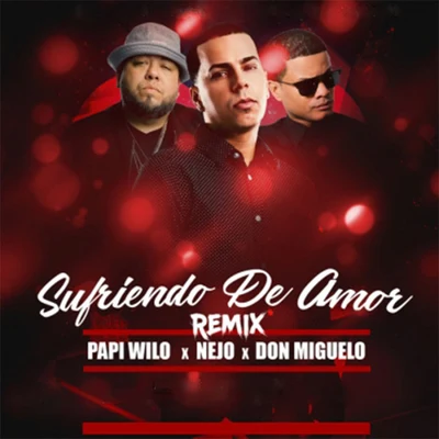 Sufriendo de Amor (Remix) 專輯 Don MiguDon/Patrizia Yanguela/Don Miguelo