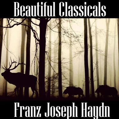 Beautiful Classicals: Franz Joseph Haydn 專輯 Derek Welton/Franz Joseph Haydn/Antony Walker/Andrew Goodwin/Craig Everingham