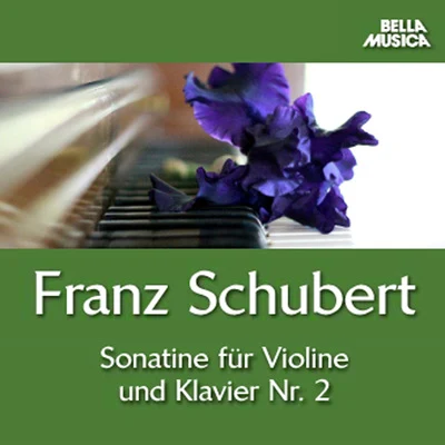 Schubert: Sonatine No. 2 - Trio No. 1 專輯 Juliette Kang/Melvin Chen/Fortepianotrio Florestan