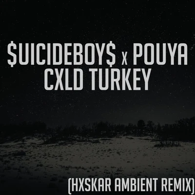 CXLD TURKEY (Hxskar Ambient Remix) 專輯 $uicideboy$