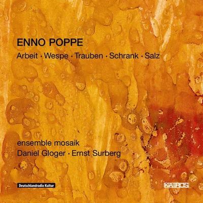 POPPE, E.: ArbeitWespeTraubenSchrankSalz (ensemble mosaik, Poppe) 專輯 Sam Hayden/Trio EKL/Elision/Ensemble Mosaik/Enno Poppe