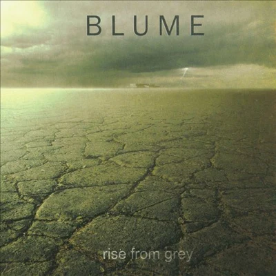 Rise From Grey 專輯 Blume/Seum Dero/Seffy/Cody Sorenson/Axero