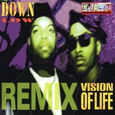 Vision of Life Remix 專輯 Down Low/lolita jolie/J3n5on/Hardwell/Moguai