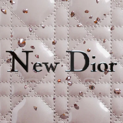 NEW DIOR 专辑 BIGBABYGUCCI