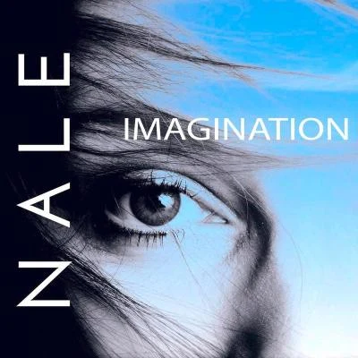 Imagination 專輯 Nale/Huntemann/Paul van Dyk/Schmidt