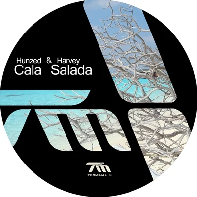 Cala Salada 专辑 Hunzed/Luthier/Johnny Kaos/Ted Dettman/Dave Spritz