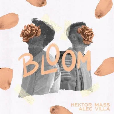 Hektor MassStasya Bloom