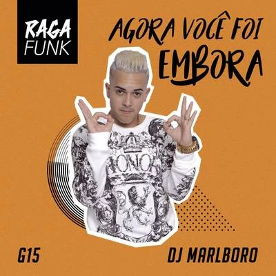 Agora Você Foi Embora 專輯 Dj Gbr/MC G15