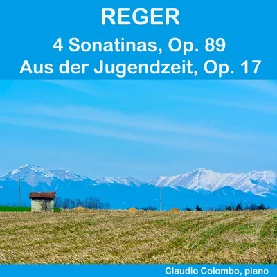 Reger: 4 Sonatinas, Op. 89 & Aus der Jugendzeit, Op. 17 專輯 Claudio Colombo