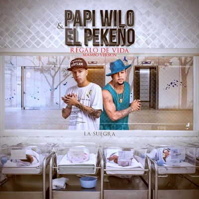 Regalo De Vida (Oye Suegra) [Mambo Version] (feat. El Pekeño) 專輯 Duran The Coach/Papi Wilo/Franco El Gorilla