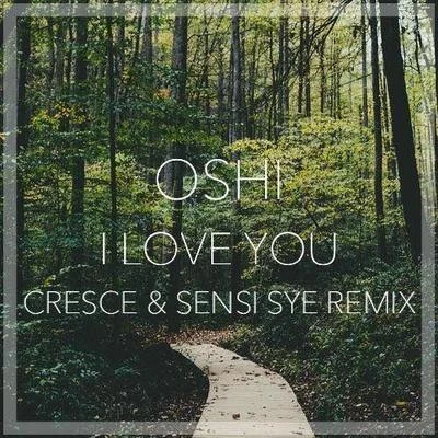 I love you (c熱水CES恩斯S也remix) 專輯 Cresce/AUFL