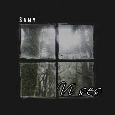 Vi ses 專輯 Samy/ZAYN