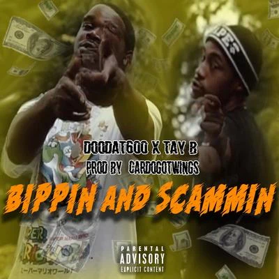 Bippin and Scammin 專輯 Tay B