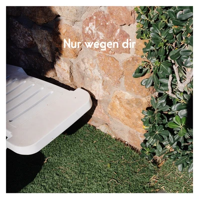 Nur wegen dir 专辑 Giant Rooks/AnnenMayKantereit