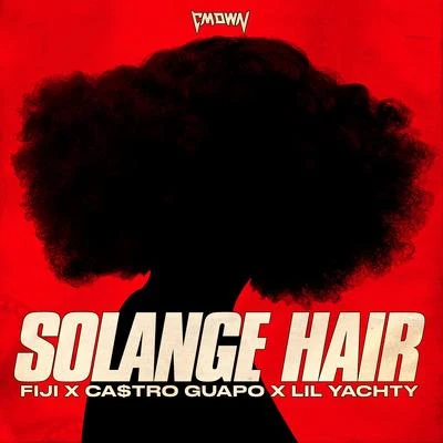 Solange Hair 專輯 FIJI/J Boog