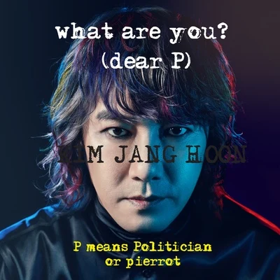 What are you? (dear P. Politician or Pierrot) 專輯 金長勳/西門卓/Quintino & Blasterjaxx/金慶皓