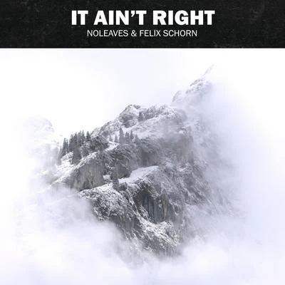 It Aint Right 專輯 Andrew Belize/Felix Schorn/Tune Brothers/E.M.C.K./Adaptiv