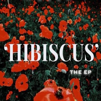 Hibiscus 专辑 Mulla/Jibbz