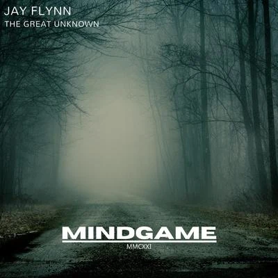 The Great Unknown (Radio Edit) 專輯 Jay Flynn/Rewire