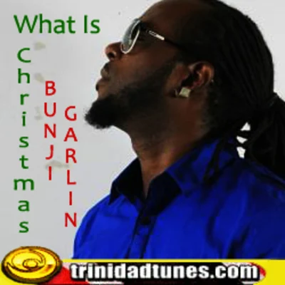 What Is Christmas 專輯 Bunji Garlin/Fay-Ann Lyons