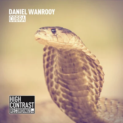 Cobra 專輯 Daniel Wanrooy/Peetu S/Ralphie B/Paul Denton/Will Atkinson