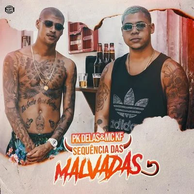 Sequência das Malvadas 专辑 Mc Rogê/PK Delas