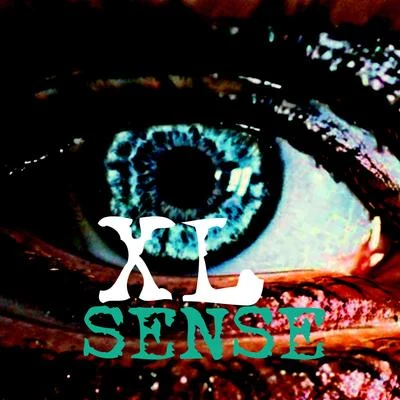 Sense 專輯 洛客班/XL (阳雨露霖P)/張懸 (Deserts Chang)/芒果跑/亥兒